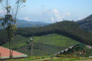 Doddabetta Resort อูตี ภายนอก รูปภาพ